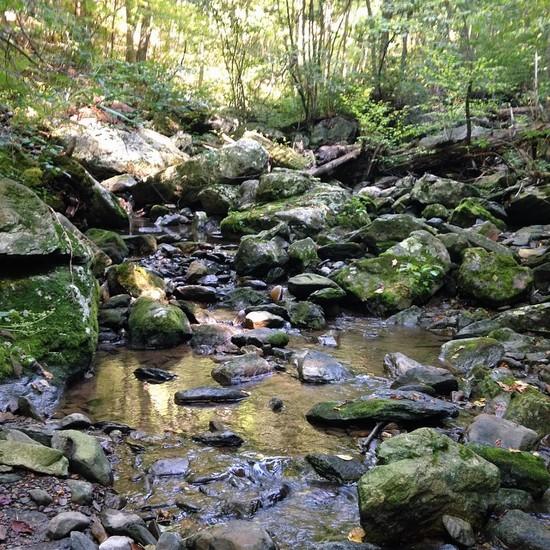 Pool on Doyles River