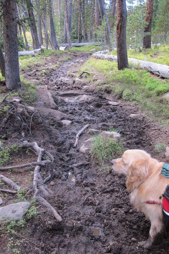 Scab Creek trail