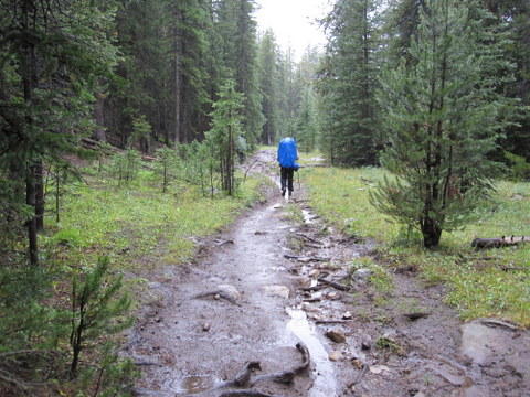 Scab Creek Trail in the rain