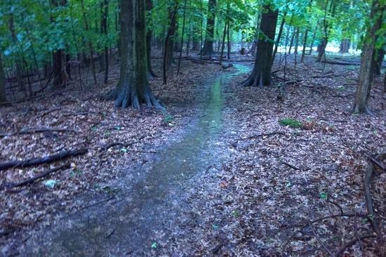 Buckeye trail