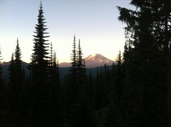 view of Mt. Adams