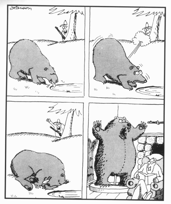 bear hunter