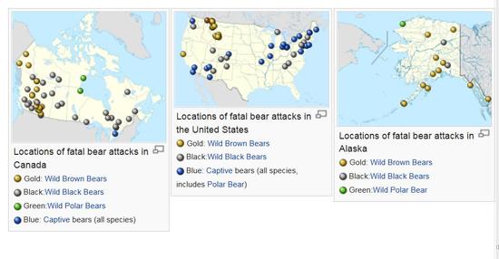 bearattackmap