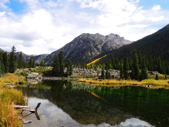 beaverponds