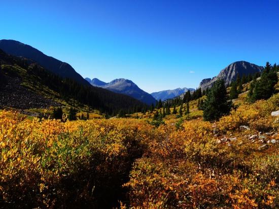 vtone