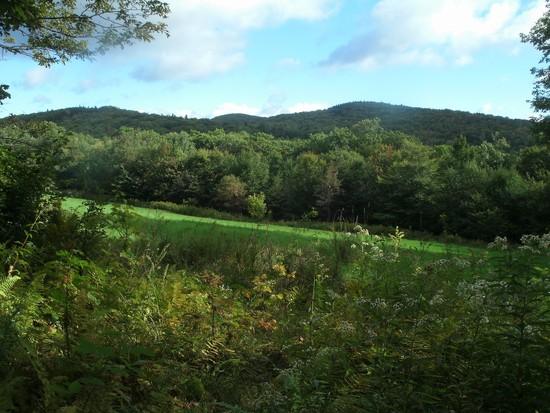 Pasture Nelson NH MSGT