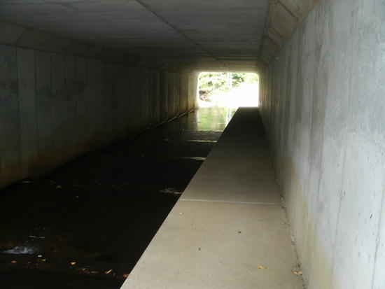 Rte 9 under