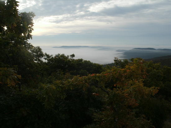 View 2