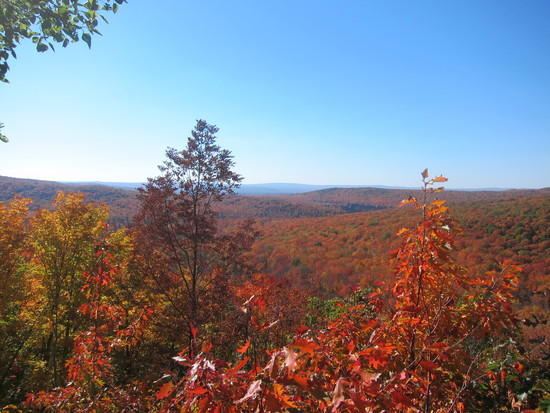 Vista1