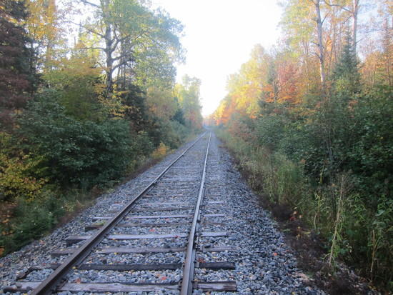 Tracks
