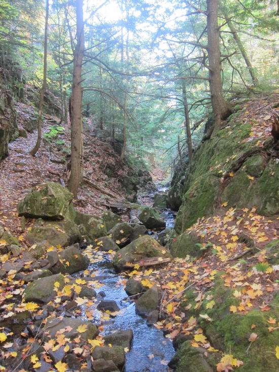 Whiskey Hollow Creek