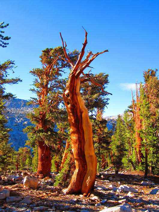 Picket creek pass
