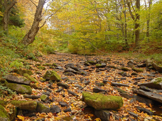 seneca creek dry