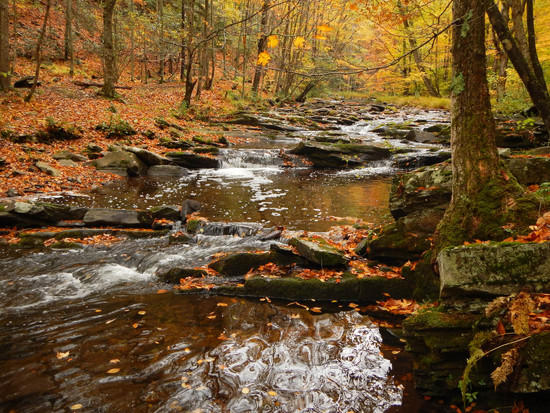 creek after rain