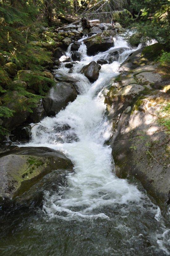 Bear Creek falls