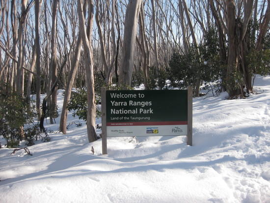 We were blessed with a brilliant day of snow and sunshine!