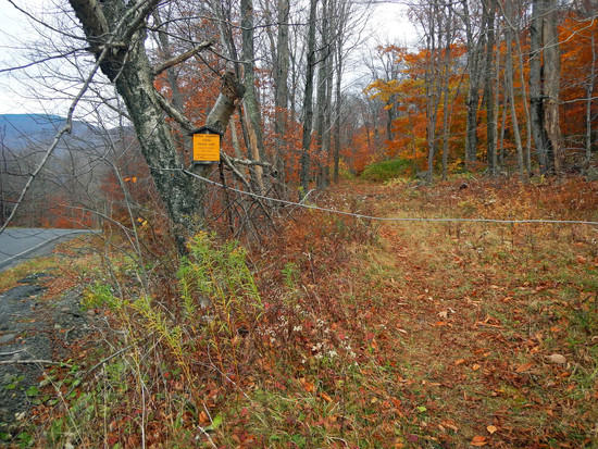 the easement