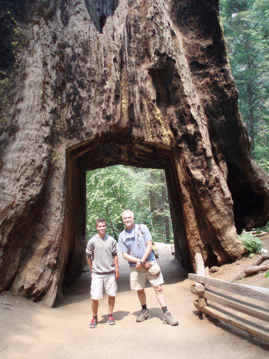 Big tree