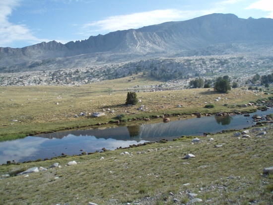 Basin