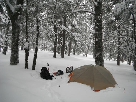 After a small snowstorm, Winter 2012, Porcupine Mtns, UP of Michigan