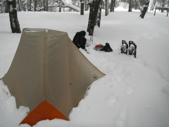 After a small snowstorm, Winter 2012, Porcupine Mtns, UP of Michigan
