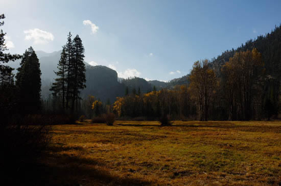 meadow