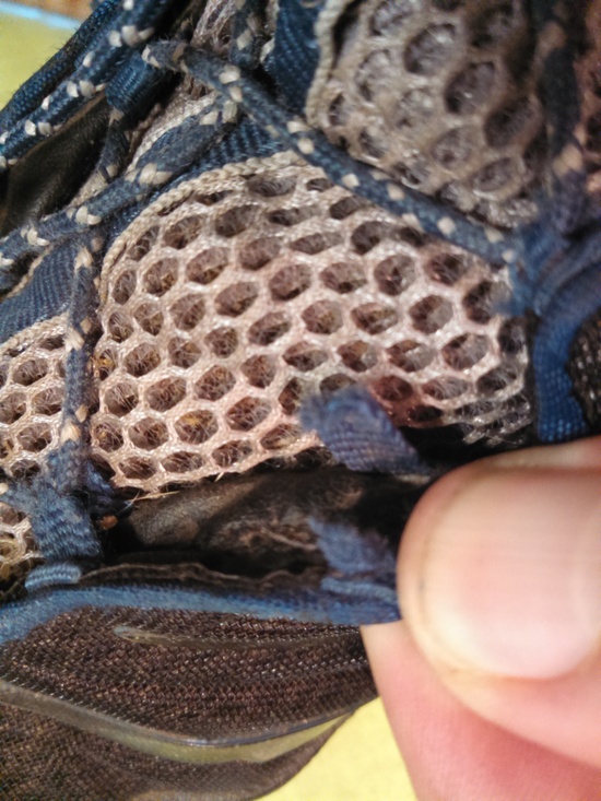 eyelet