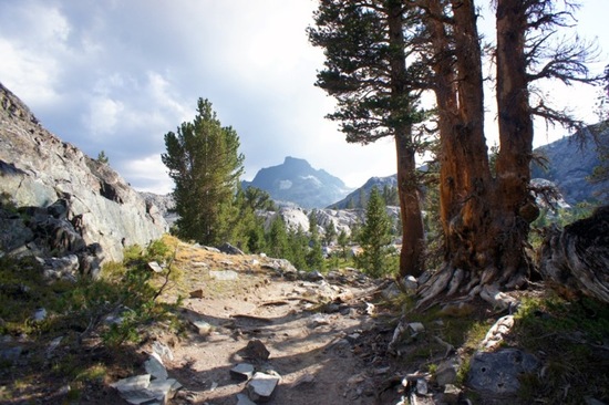 first view of Banner Peak