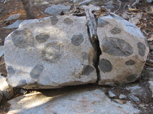 Speckled Boulder