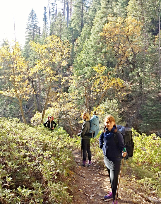 morning