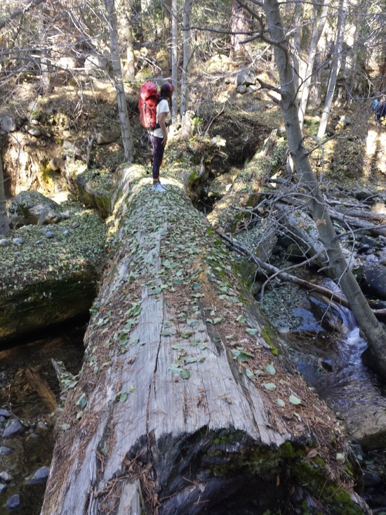 log