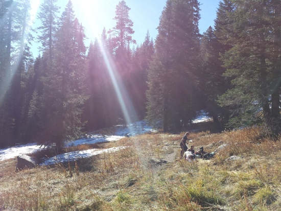 meadow