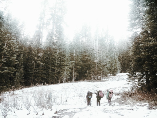 winter