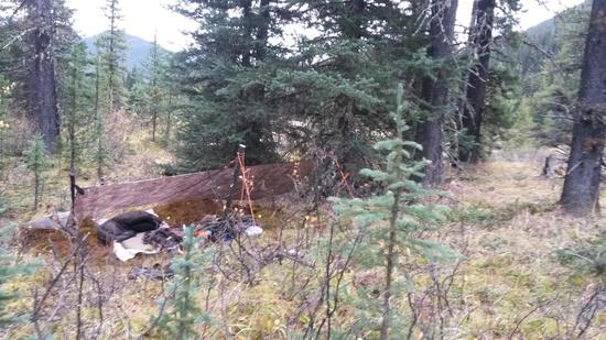hunting tarp