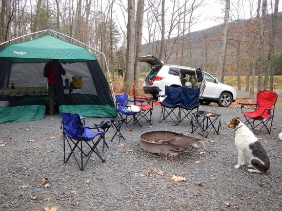 cyrus at the tent