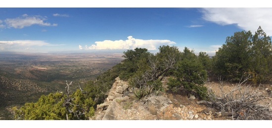 Palacito Sandia