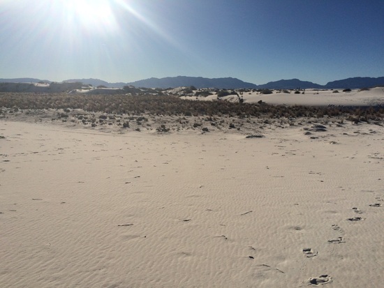 White sands November 14