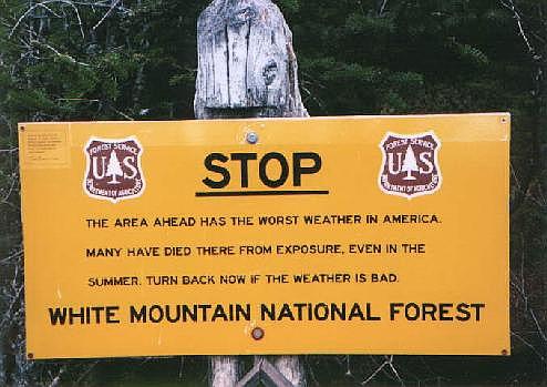 whites sign