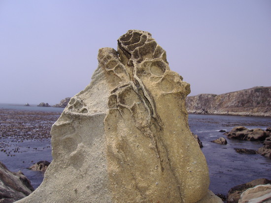 santa cruz