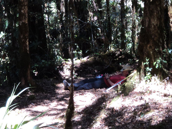 Napping on the trail