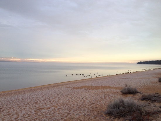 Tahoe