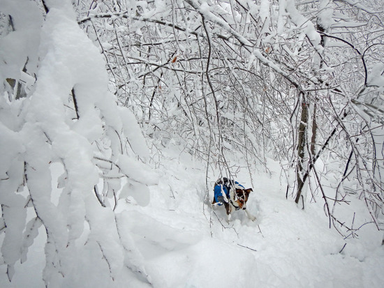 catskill snow