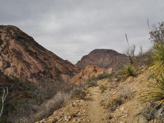 3 Laguna trail