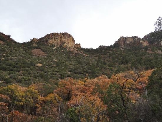 laguna trail