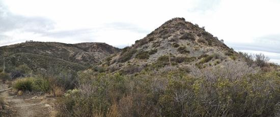 Laguna Meadow