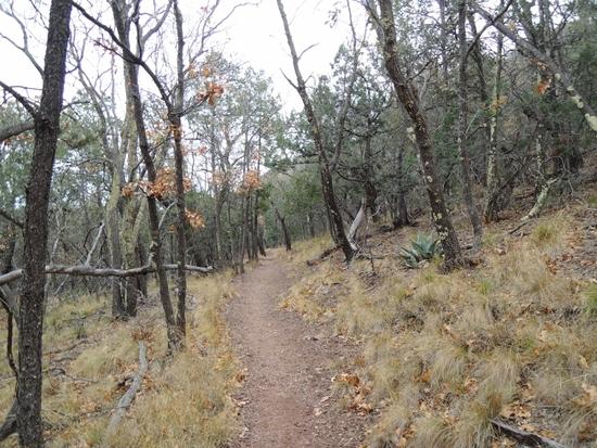 Camila Trail