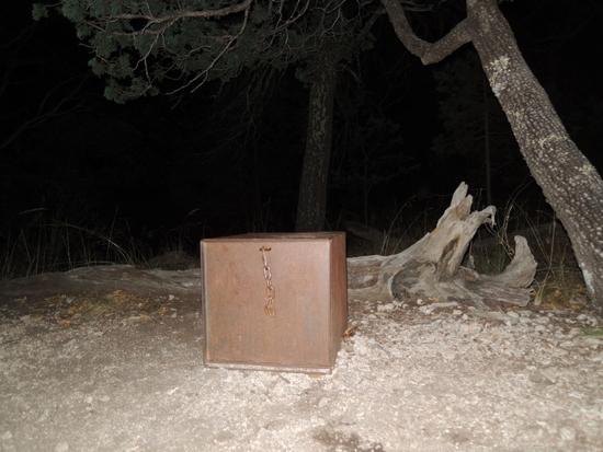 bear box