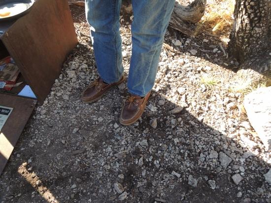 shoes