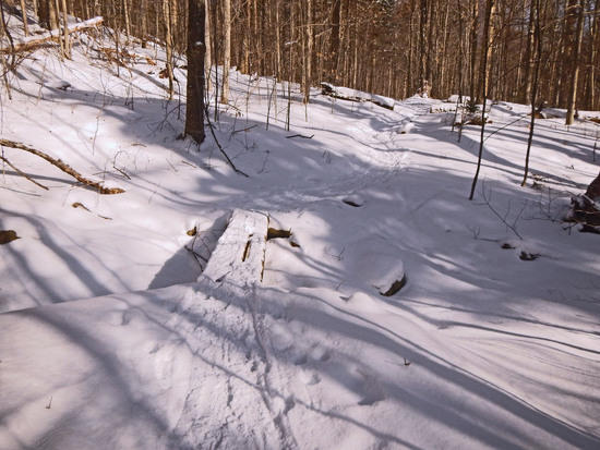 trail condition