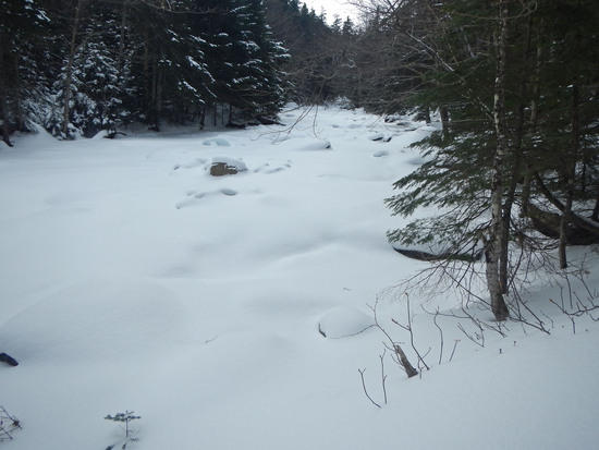 johns brook